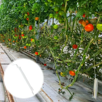 10pcs צמח עגבניות תמיכה אוזן וו קליפ צמחים הפרגולה בגינה ירקות פירות תיקון ווים מלחציים ציוד גינון, חבל ניילון